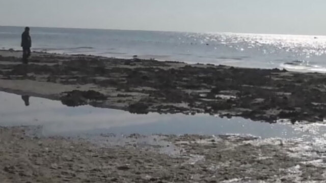 Tekirdağ'da korkutan görüntü!