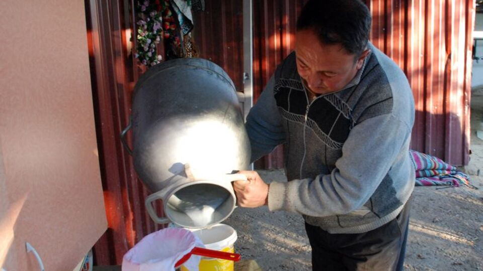 Eşek sütü altınla yarışıyor