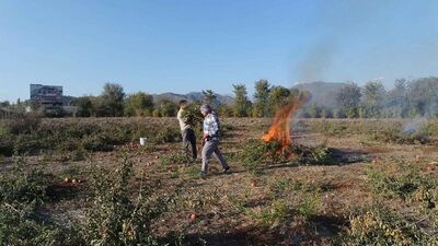 10 kuruşa bile satılmadı!