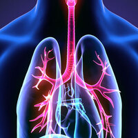 Akciğer kanseri rüzgarda savrulan çadırlar gibi yayılıyor!