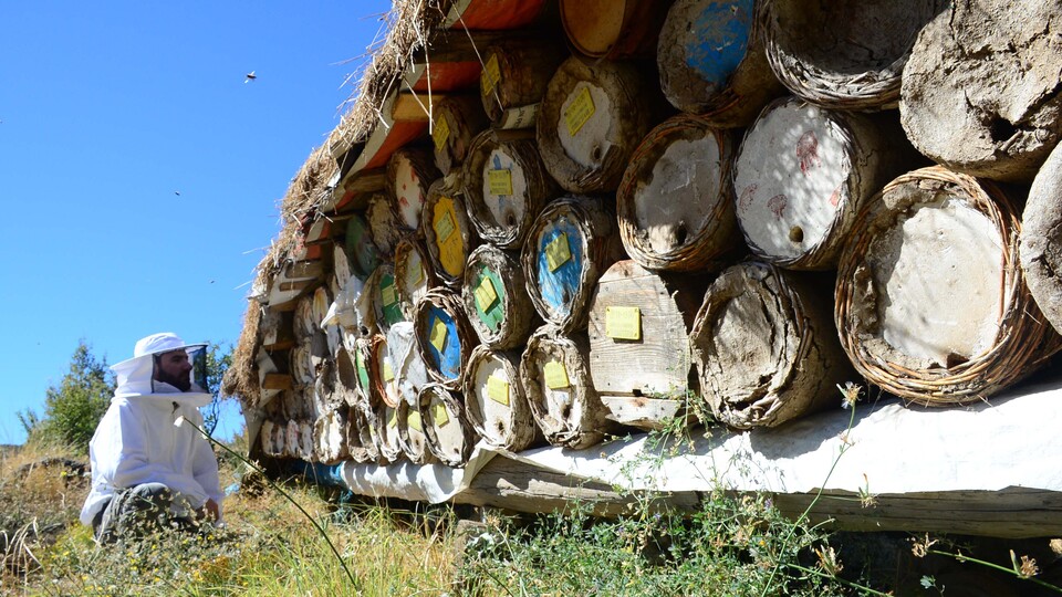 Tamamı için sipariş alındı!