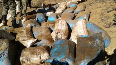 Toprak altına gömmüşler!