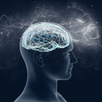 Beyninizi canlandırmanın 10 yolu!