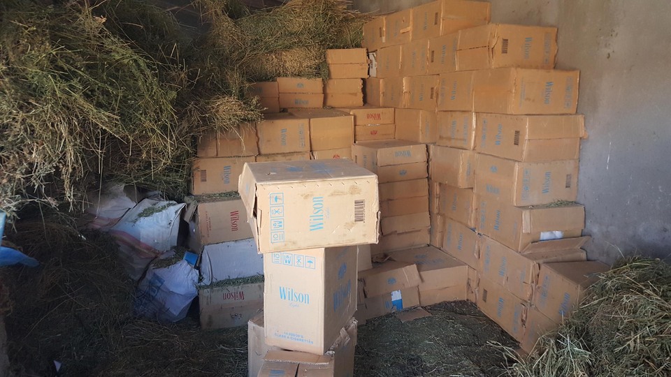 PKK'ya Şırnak'ta ağır darbe