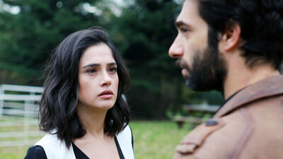 Poyraz, harekete geçer!