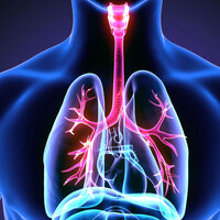 Sigarayı hangi yaşta bırakırsanız ne kadar yaşarsınız?