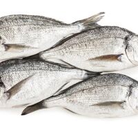 Meğer balık pulunda mucize saklıymış...