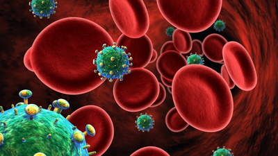 Lenf sisteminin anahtar bitkisi: Yoğurt otu