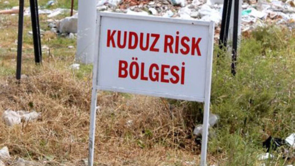 Şanlıurfa'da kuduz alarmı