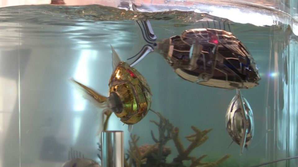 Çinli bilim insanları bunu da yaptı