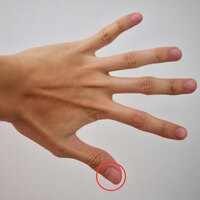 Kulaktaki hangi bölge ne işe yarıyor?