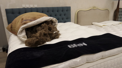 At yelesinden üretti!