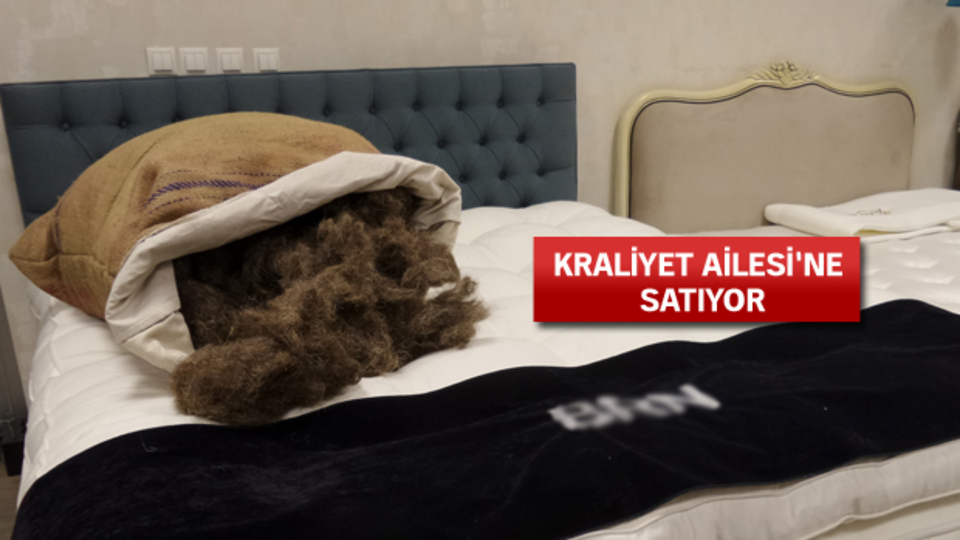 At yelesinden üretti!