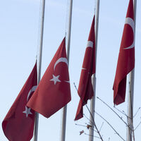 Milli yas nedir?