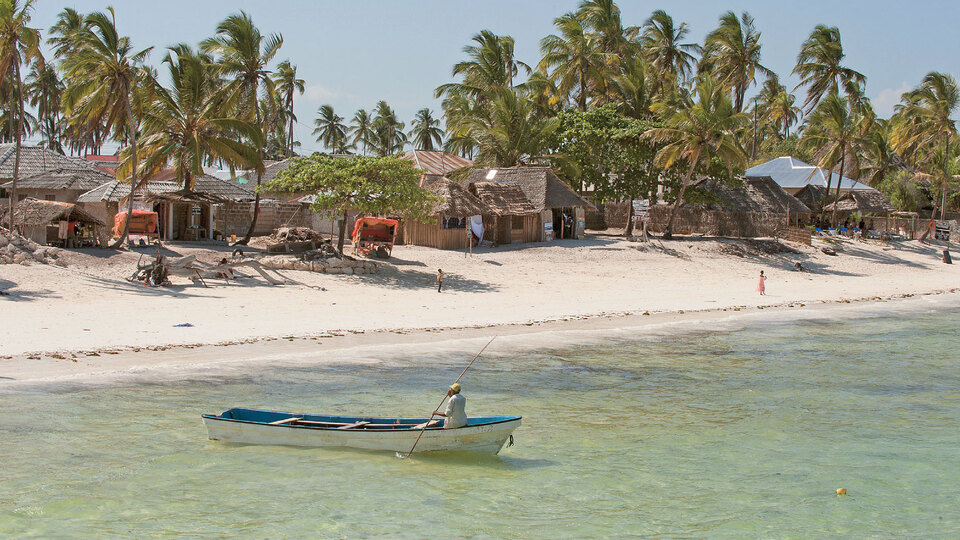 THY ile Zanzibar için 50 neden