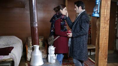 Dağ evinde aşk savaşı!