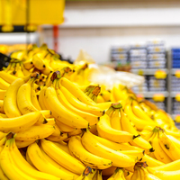 Veremden korunmak için kürler!