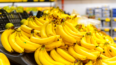 Veremden korunmak için kürler!