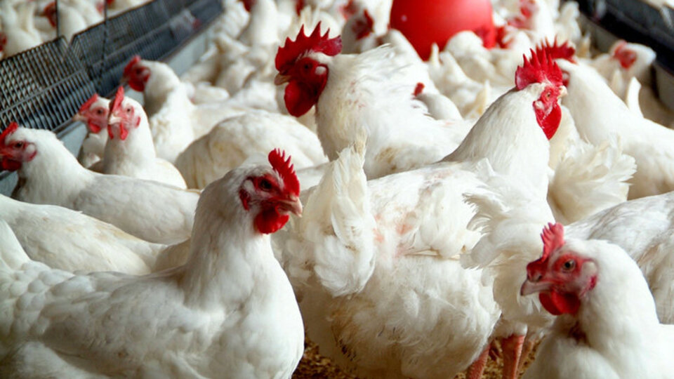 Dev Türk gıda şirketi satıldı!