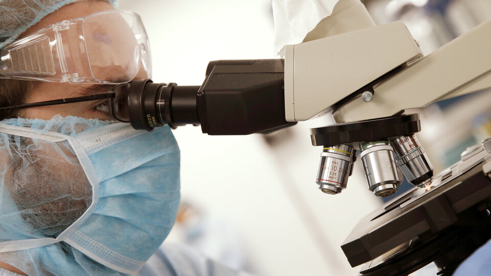 MS ve obeziteye 'gaita nakli'