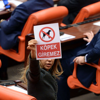 Meclis'te tartışma yaratan afiş