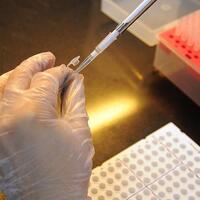 Bilim insanları bunu da başardı!