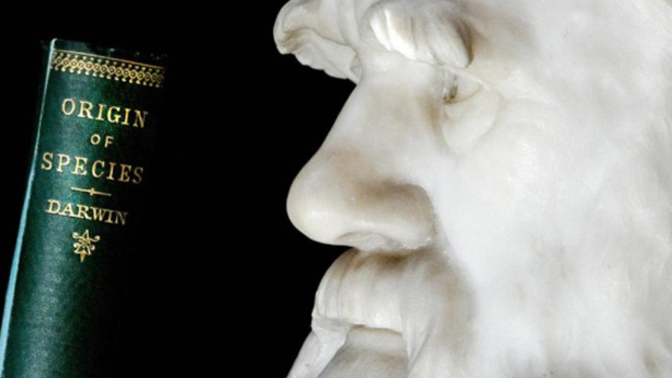 Evrim, müfredattan çıkıyor!