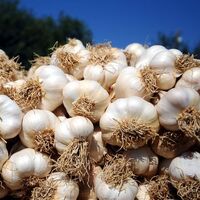 Vücudunuzdaki ağır metalleri bu gıdalarla atın!