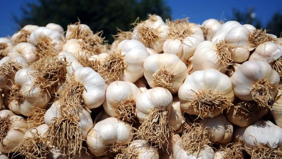 Vücudunuzdaki ağır metalleri bu gıdalarla atın!