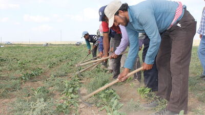 100 yabancıdan 85'ine Türkiye'de çalışma izni!