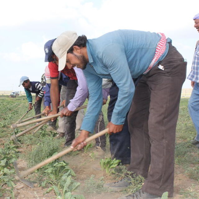 100 yabancıdan 85'ine Türkiye'de çalışma izni!