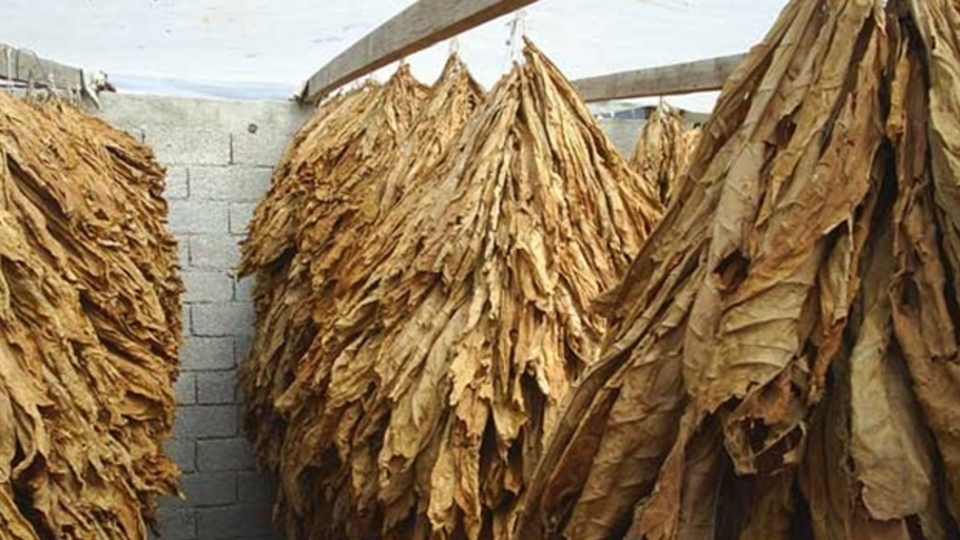 İhracatı 1 milyar doları aştı!