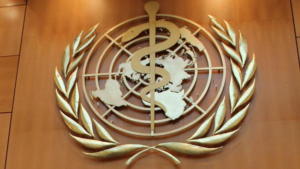 Geleceğin potansiyel virüs salgınları açıklandı