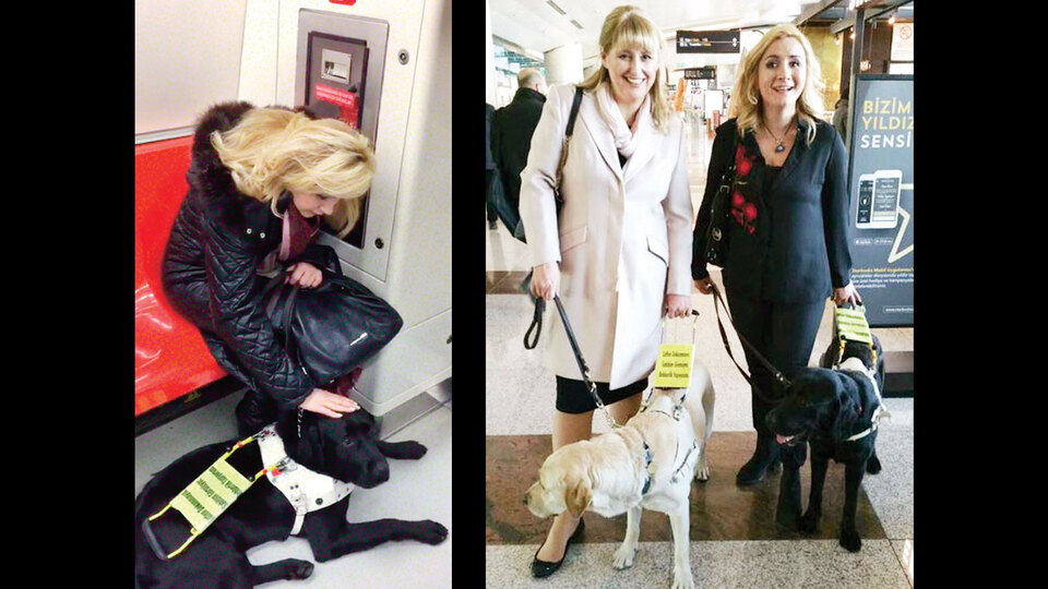 Türkiye'nin ilk rehber köpeği 'Kara' yollarda!