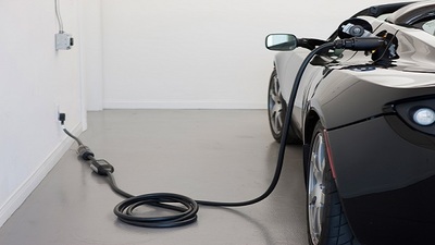 Sayıları 100 milyonu bulacak!