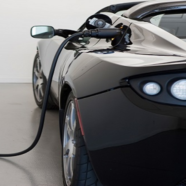 Sayıları 100 milyonu bulacak!