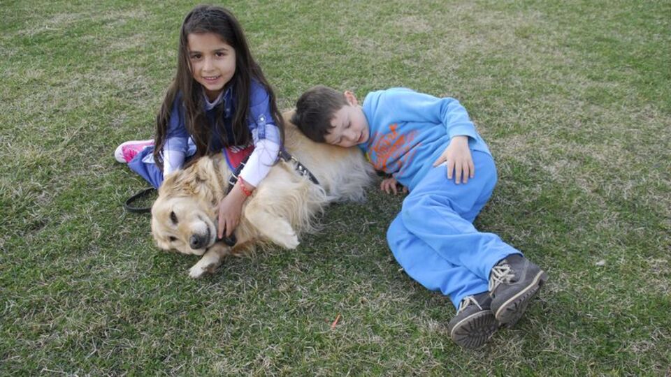 Çocuklar evcil hayvanlarla daha mutlu ilişkiler kuruyor
