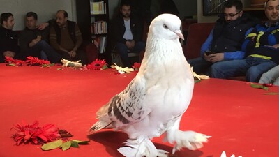 Fiyatı dudak uçuklattı