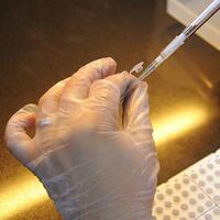 Nabız gibi atabilen üç boyutlu yapay kalp dokusu üretildi