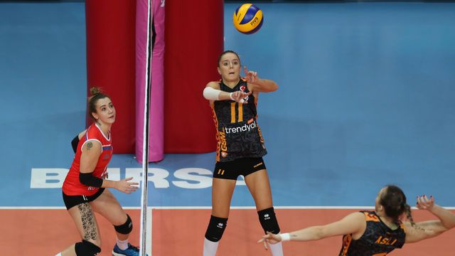 Aslan çok rahat!