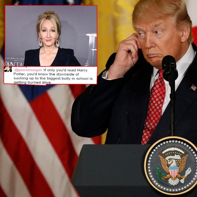 Büyücü Harry Potter Trump'a karşı!