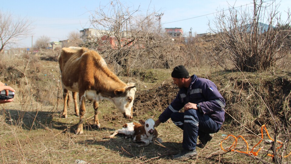Bu köye 'hurdacıların' girmesi yasak! Çünkü...