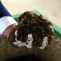 Kömürlükte başladı, 6 yılda dev bir tesis kurdu!