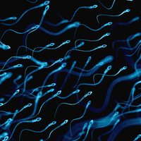 Spermleriniz risk altında!