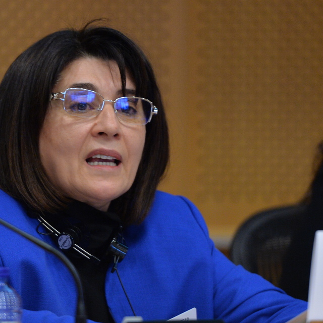 HDP'li Zana hakkında 20 yıla kadar hapis istemi
