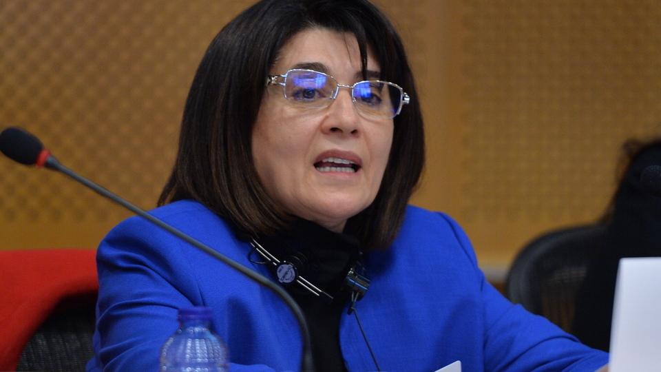 HDP'li Zana hakkında 20 yıla kadar hapis istemi