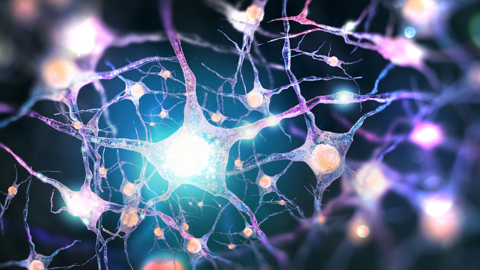 Türk bilim insanının araştırması ABD'de olay yarattı!