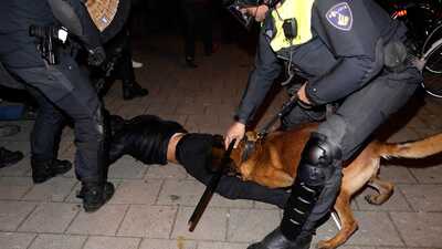 Çavuşoğlu, Hollanda polisinin skandal görüntülerini paylaştı: "Wilders'ın Köpekleri"