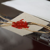 Nerede oy kullanacağım?