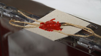 Nerede oy kullanacağım?